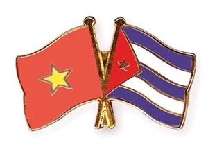 越南与古巴加紧团结友谊 