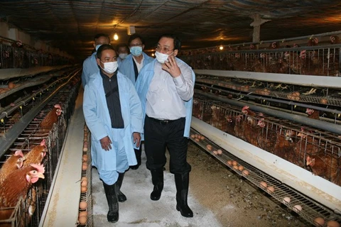 越南政府副总理黄忠海视察谅山省预防禽流感工作