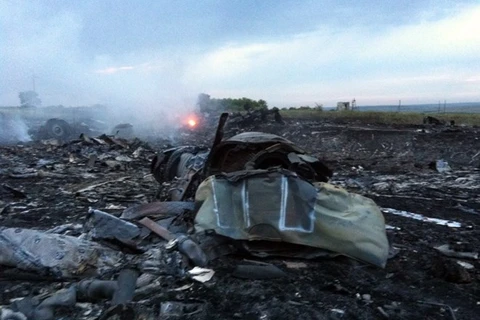 马航客机坠毁现场 （图片来源：AFP）
