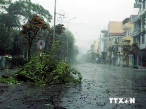 台风威马逊已登陆越南广宁省