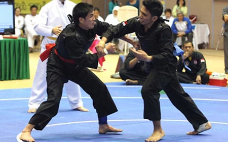 2014年越南全国青少年班卡苏拉锦标赛在山罗省举行