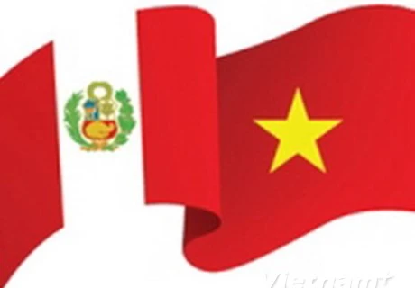  越南与秘鲁纪念建交20周年