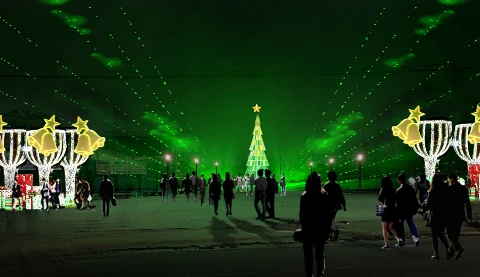 越南最大圣诞树亮相平阳省