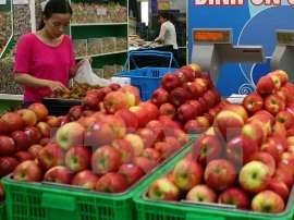 越南食品安全局：尚未发现感染李斯特氏菌苹果产品