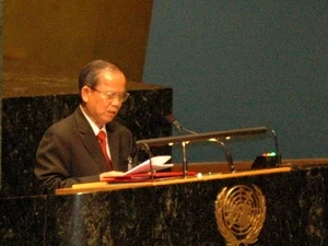 越南副总理张永仲在2011年联合国大会艾滋病问题高级会议上发表讲话