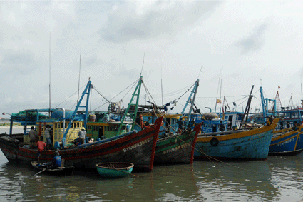  Ba Ria- Vung Tau’s largest fishing port inaugurated