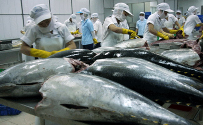 Tuna exports likely to hit 500 million USD in 2018