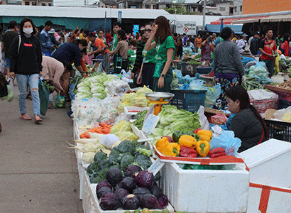 Lao ministry proposes ban on import of some agricultural products