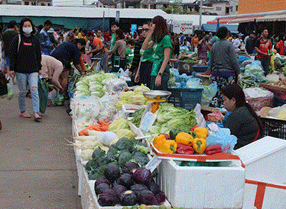 Proponen prohibir en Laos importación de algunos productos agrícolas