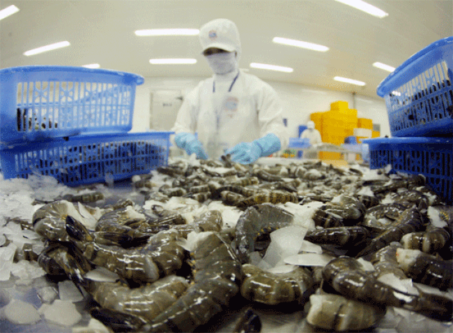 Le Vietnam, 1er fournisseur de crevettes en Grande-Bretagne ces 3 premiers trimestres