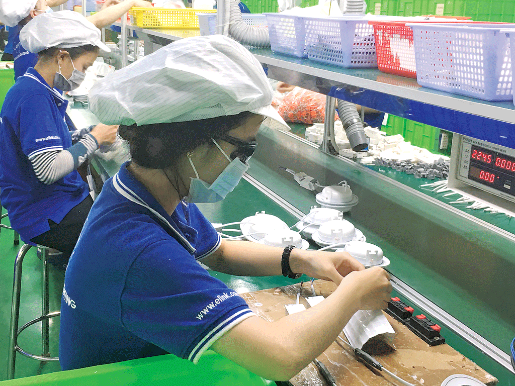 隆安省努力保持九龙江三角洲地区经济发展领先地位