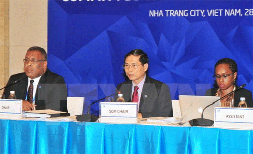 越南外交部副部长裴青山在会议上发表讲话（图片来源：越通社）