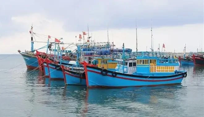 Vietnam has been working hard to carry out the EC’s recommendations about IUU fishing prevention and control. (Illustrative photo: VNA)