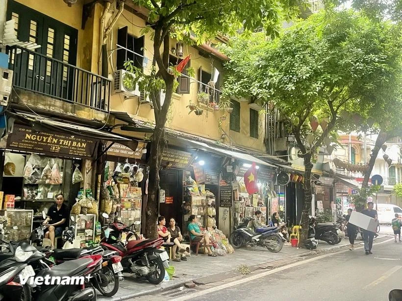 Shops selling oriental medicine on Lan Ong street. (Photo: VietnamPlus)