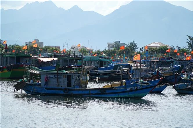 Vessels at the Tho Quang fishery port off Son Tra district, Da Nang city (Photo: VNA)