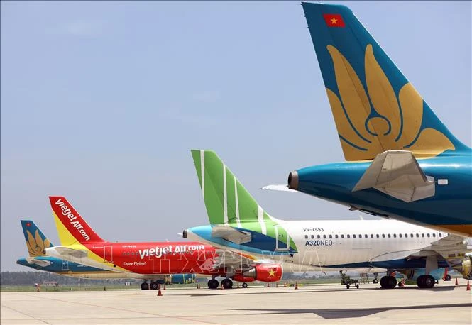 Aircraft of Vietnamese airlines at Noi Bai International Airport (Photo: VNA)