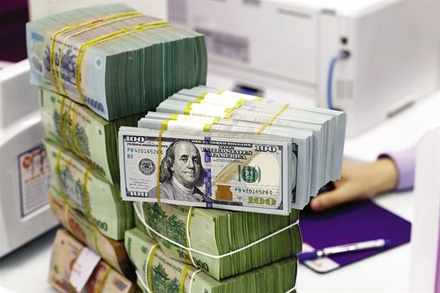 A bank teller counts the dollar at a transaction office in Hanoi. The rapid cooling of the exchange rate creates conditions for the SBV to implement a looser monetary policy, in order to support liquidity for the banking system and the economy. (Photo: baodautu.vn)