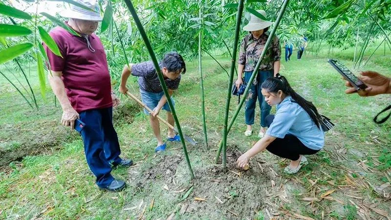 Tourists experience cultivating bamboo at an agricultural tourism model in Bac Giang province. (Photo: Nhan dan Newspaper)