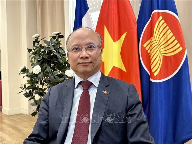 Vietnamese Ambassador to France Dinh Toan Thang (Photo: VNA)