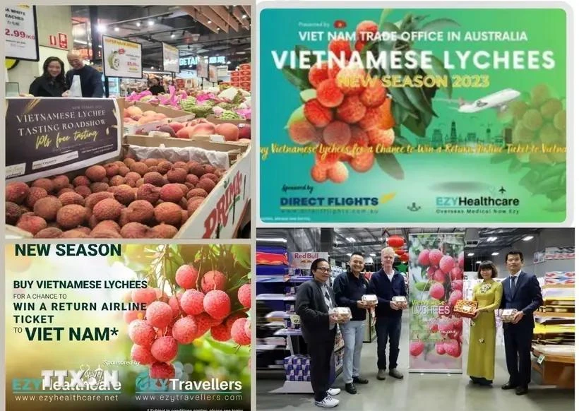 Certaines activités sont réalisées par le Bureau commercial du Vietnam en Australie. Photo: VNA