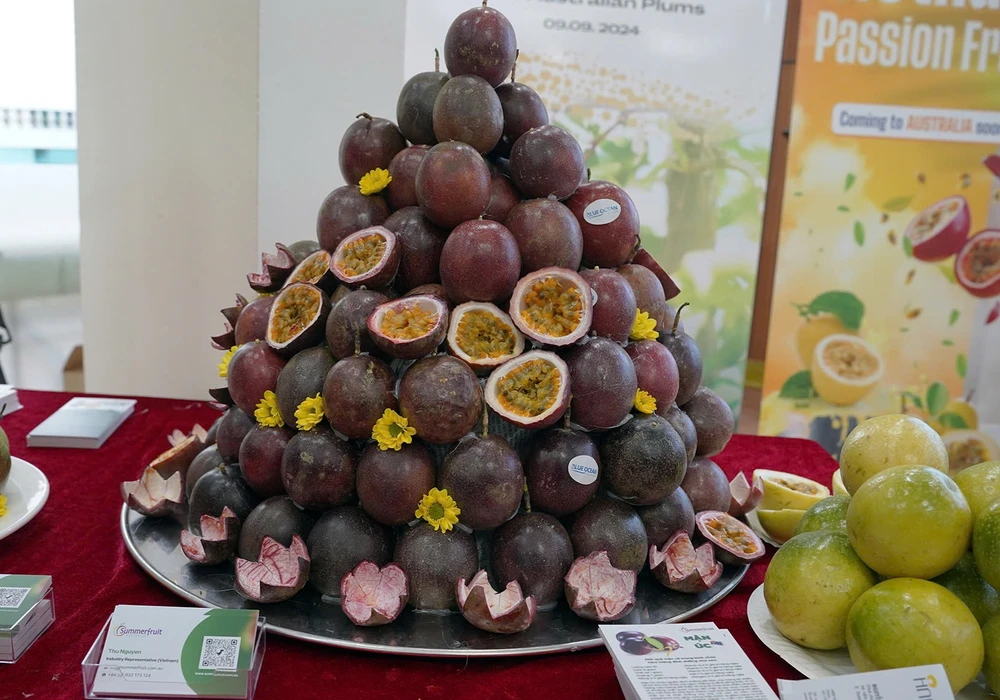 Le fruit de la passion est le cinquième fruit vietnamien à être officiellement exporté vers le marché australien. Photo: VNA