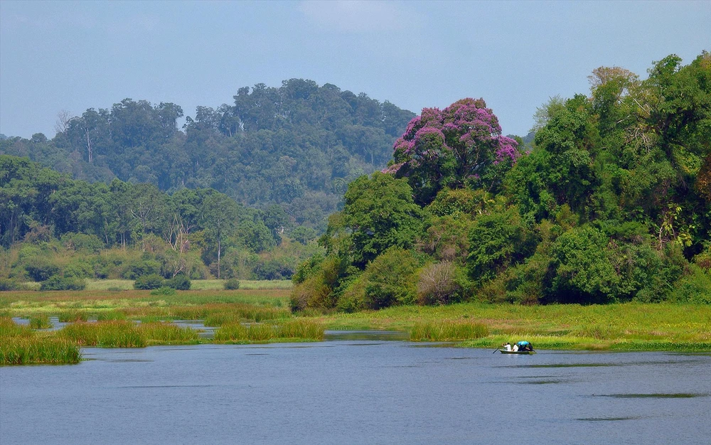 Le parc national de Cat Tien, un joyau du Vietnam dans la Liste verte des aires protégées