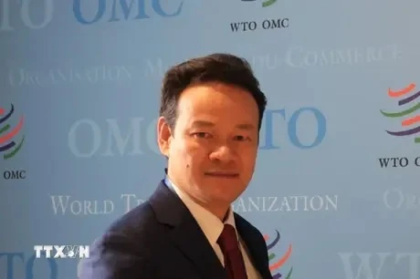 El embajador Mai Phan Dung, representante permanente de Vietnam ante la Organización de las Naciones Unidas, la Organización Mundial del Comercio y y otros organismos internacionales en Suiza. (Fuente:VNA)