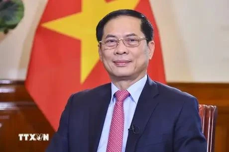 El ministro de Asuntos Exteriores de Vietnam, Bui Thanh Son. (Fuente:VNA)