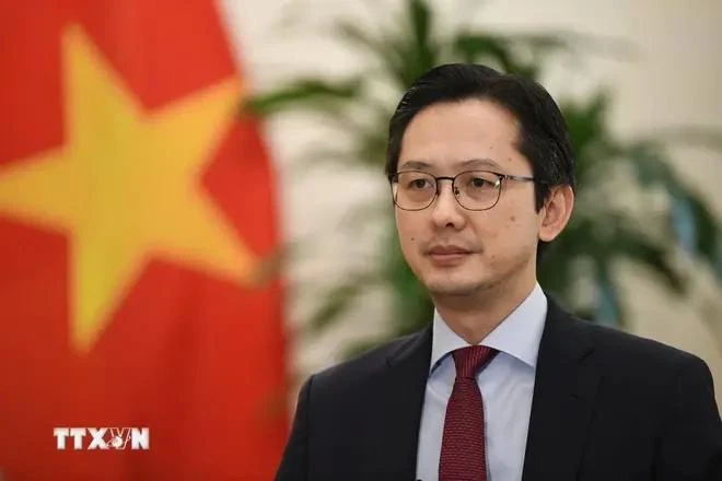 El viceministro de Relaciones Exteriores Do Hung Viet (Fuente:VNA)