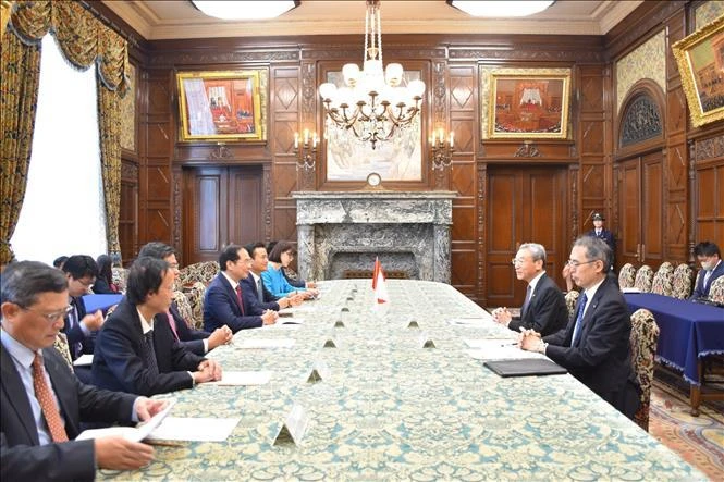 Panorama del encuentro entre el canciller vietnamita, Bui Thanh Son, y el vicepresidente del Senado de Japón Nagahama Hiroyuki. (Fuente:VNA)