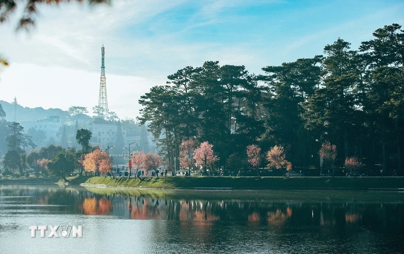 Lago de Xuan Huong en Da Lat. (Fuente:VNA)