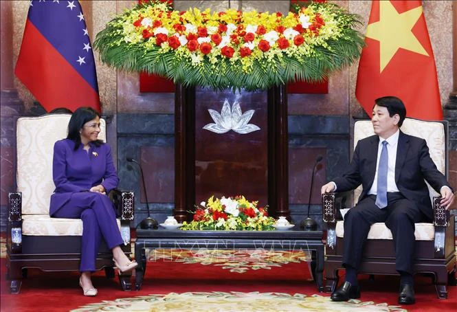 El presidente vietnamita, Luong Cuong, recibe a la vicepresidenta ejecutiva de Venezuela, Delcy Rodríguez Gómez. (Fuente:VNA)