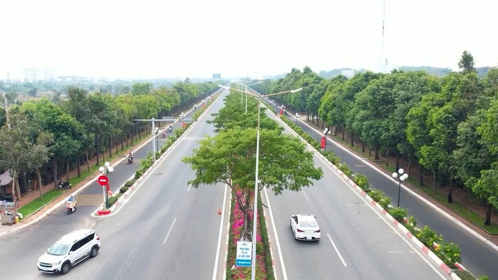 La calle 3/2 en la ciudad de Vung Tau tiene árboles y flores en sus alrededores. (Fuente: Internet)