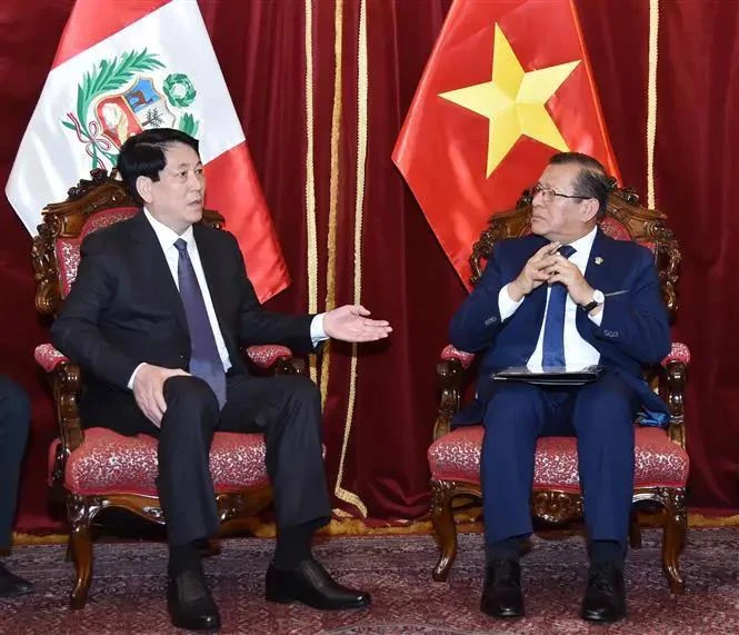 El presidente de Vietnam, Luong Cuong, se reúne con el titular del Congreso de Perú, Eduardo Salhuana. (Fuente: VNA)