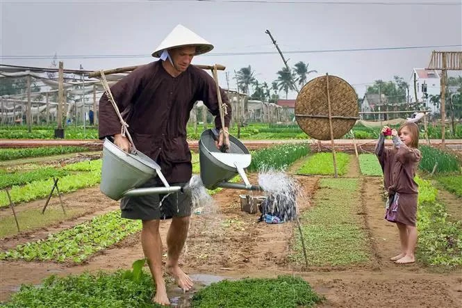 Turistas extranjeros en la aldea de vegetales de Tra Que, en la provincia central de Quang Nam. (Fuente: VNA)