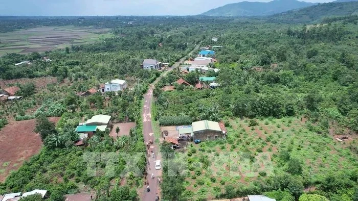 El tramo de la autopista Khanh Hoa - Buon Ma Thuot que pasa por la comuna de Ea Kenh, distrito de Krong Pac, provincia de Dak Lak, ha sido marcado para su limpieza de terreno. (Fuente: VNA)