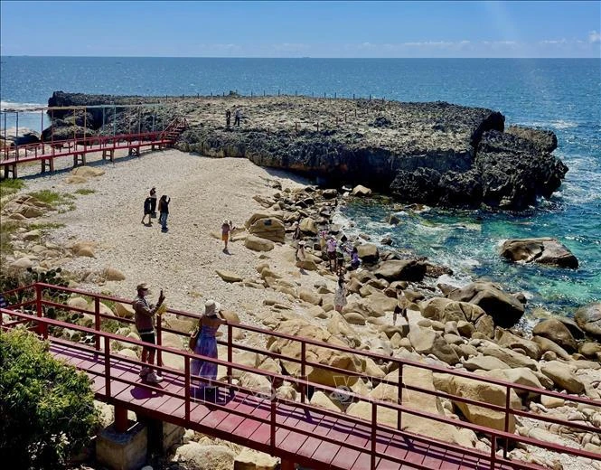 Los turistas exploran el antiguo arrecife de coral Hang Rai ubicado en la Reserva Mundial de la Biosfera Nui Chua, distrito de Ninh Hai. (Fuente: VNA)