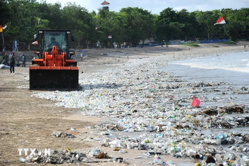 Vehículos limpian residuos plásticos en la playa de Kuta, cerca de Denpasar, isla de Bali, Indonesia. (Foto: AFP/VNA)