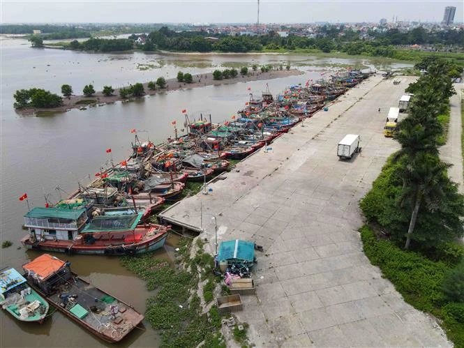 Buques anclados de forma proactiva para evitar tormentas en el puerto pesquero de Tan Son (ciudad de Diem Dien, distrito de Thai Thuy, provincia de Thai Binh). (Fuente: VNA)