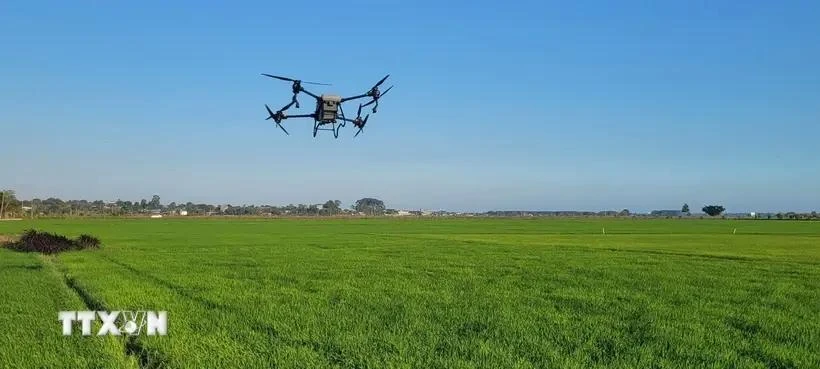 La transformación digital se ha convertido en una estrategia clave, que abre oportunidades para construir un modelo agrícola más inteligente, sostenible y eficiente, asegurando la posición de la agricultura vietnamita en el mapa mundial. (Fuente: VNA)