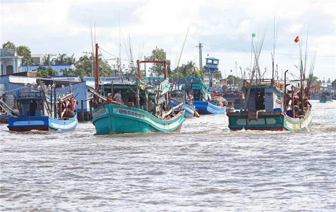 La provincia de Ca Mau ha implementado el uso de software de gestión integrada para controlar los buques pesqueros que entran y salen del puerto marítimo, que deben ser controlados por el puerto pesquero, la oficina INDNR y la estación de guardia fronteriza. Foto: Huynh Anh – VNA