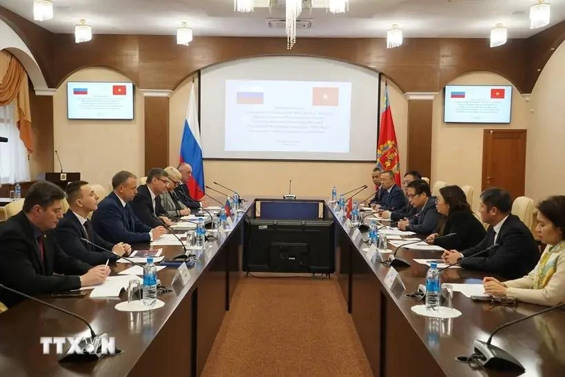 Durante la sesión de trabajo entre la delegación de la Embajada de Vietnam en Rusia y autoridades del óblast de Vladímir (Fuente: VNA)