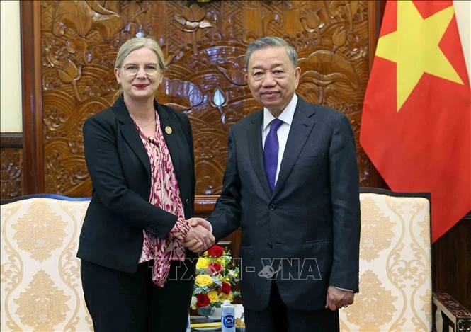 越南国家主席苏林与瑞典驻越南特命全权大使安·马威。图自越通社