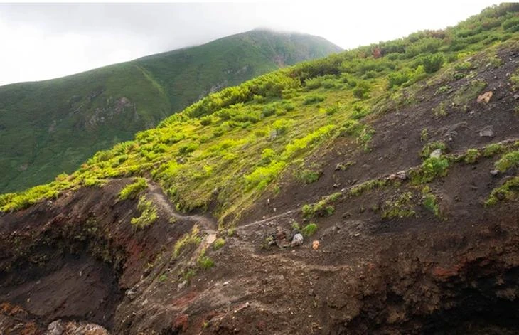 北海道美瑛町山的一角。图自Hikemasterjapan