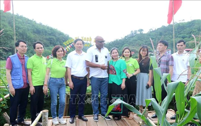 Le 9 mai, la délégation de la FAO a visité plusieurs modèles de coopératives soutenus par FFF dans le district de Ba Be. Photo: VNA