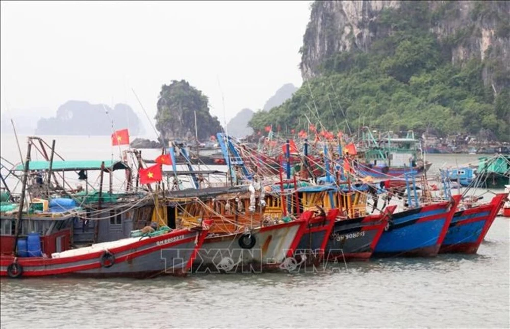 Des navires de pêche ancrés au port de Quang Ninh. Photo: VNA