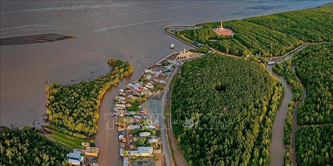 La région du Cap Ca Mau vue d'en haut. Photo: VNA