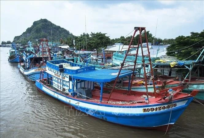 Des bateaux de pêche hauturière de Thanh Hoa. Photo: VNA