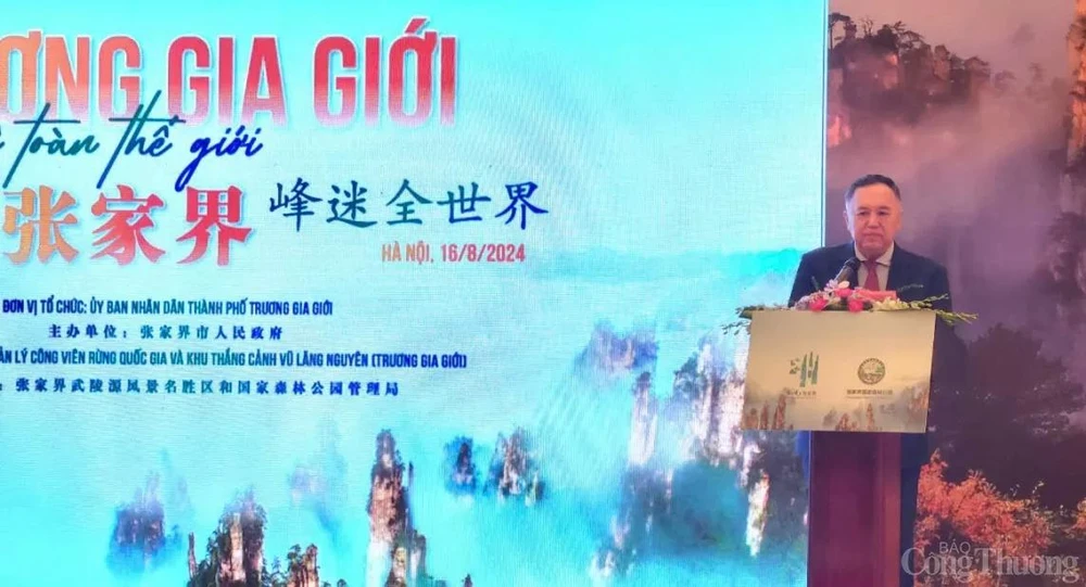 Zheng Dawei, conseiller culturel de l'ambassade de Chine au Vietnam, prend la parole lors de l'événement. Photo: VNA