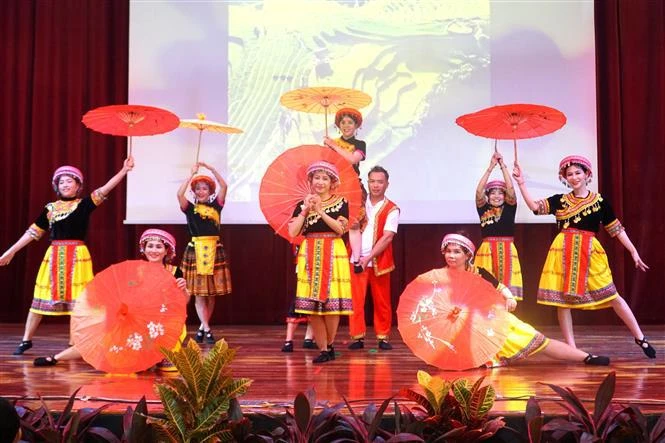 Un numéro de danse traditionnelle du Vietnam. Photo: VNA